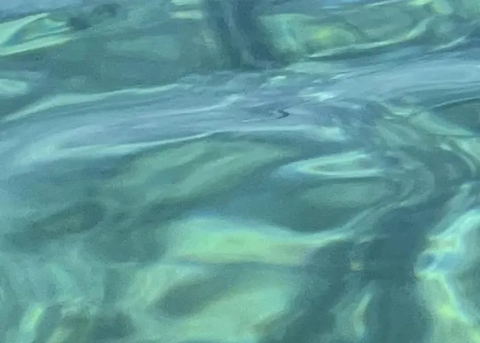 Lejlighed Con Vista *