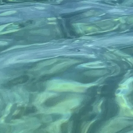 Lejlighed Con Vista *